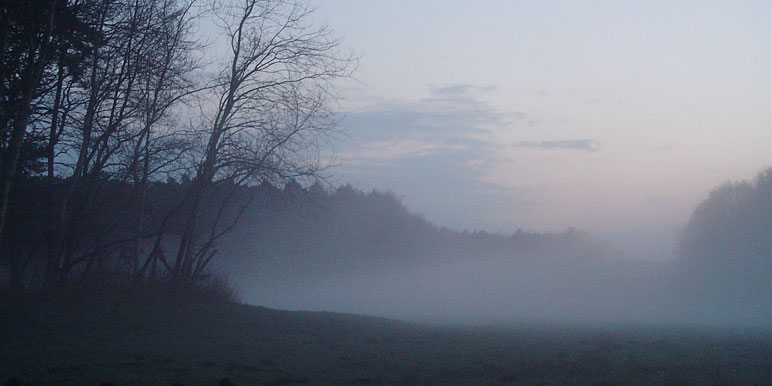 Nebel über der Wiese am Morgen